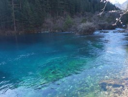 自由行去九寨沟攻略（去九寨沟旅行攻略）