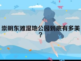 崇明东滩湿地公园到底有多美？