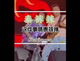 泰酷辣什么网络梗（tomcool泰酷）