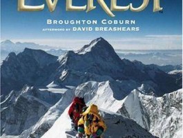 everst（everest）