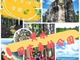 黄水国家森林公园门票多少