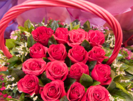 21支玫瑰花代表什么寓意和象征