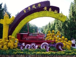 文化公园和黄花岗的菊展哪个好