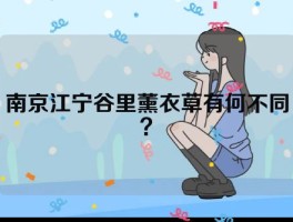 南京江宁谷里薰衣草有何不同？