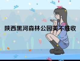 陕西黑河森林公园美不胜收