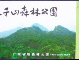 王子山森林公园门票官网