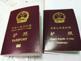 台湾护照（台湾护照免签美国吗）