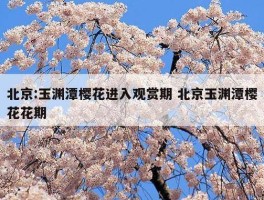 2023玉渊潭公园樱花最佳观赏时间