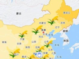 高德地图水稻（高德地图稻田）